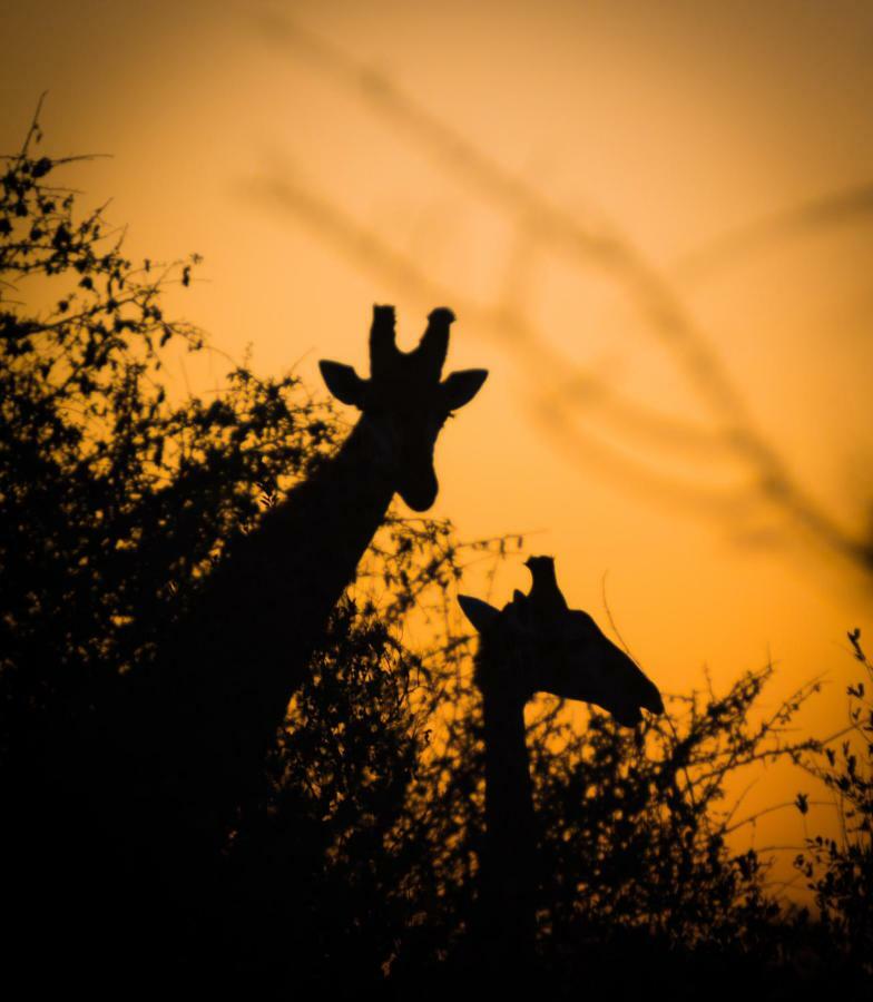 Umkhumbi Lodge Hluhluwe Esterno foto